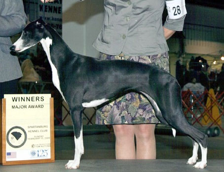 Beri