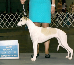 Macy-1b Macy