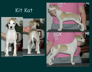 Kit Kat