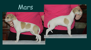 Mars