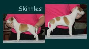 Skittles
