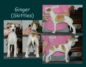Skittles