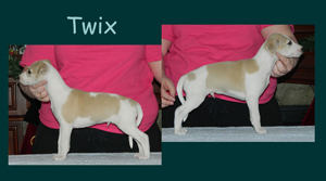 Twix