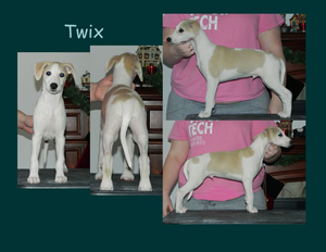 Twix