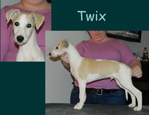 Twix11weekswebr1